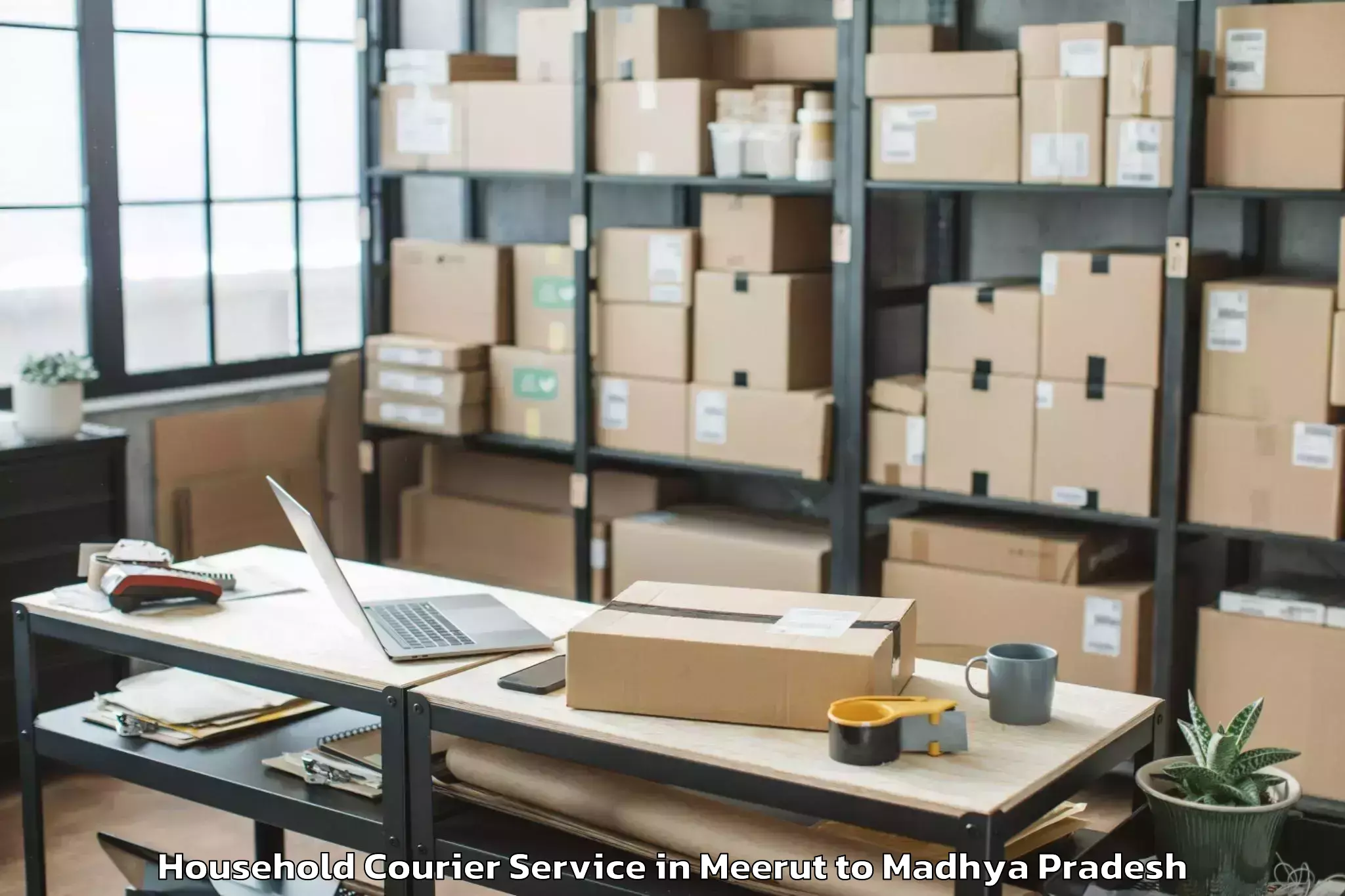 Top Meerut to Narsinghpur Household Courier Available